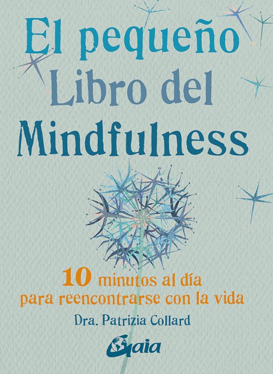El Pequeño Libro Del Mindfulness: 10 Minutos Al Dia Para Reencontrarse