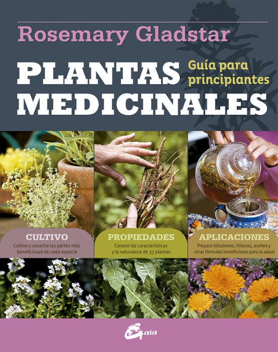 Plantas Medicinales: Guia Para Principiantes
