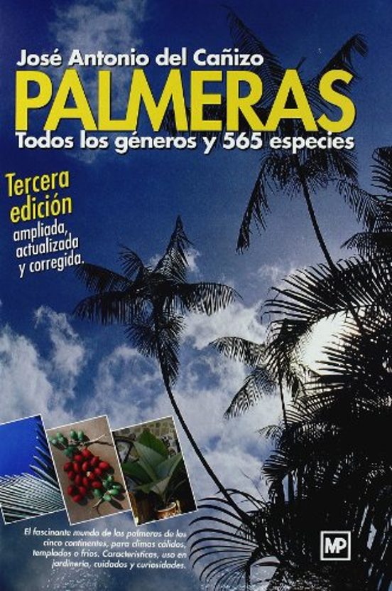 Palmeras