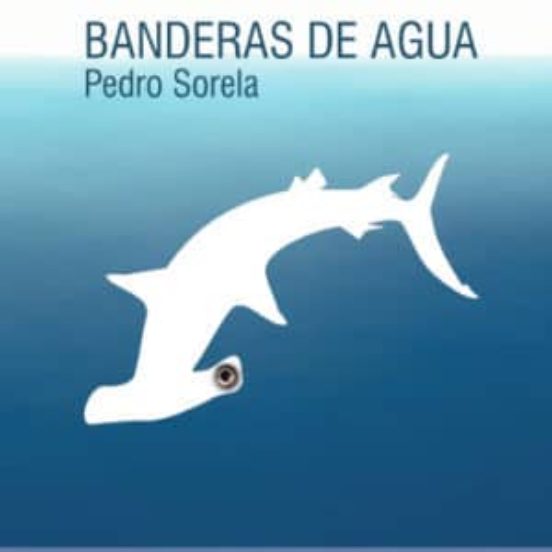 Banderas De Agua