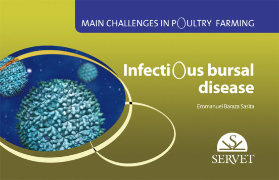 Main Challenges In Poultry Farming. Infectious Bursal Disease