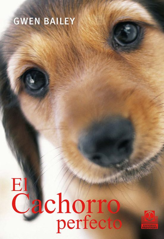 El Cachorro Perfecto