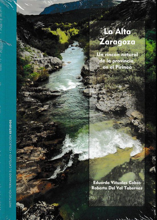 La Alta Zaragoza