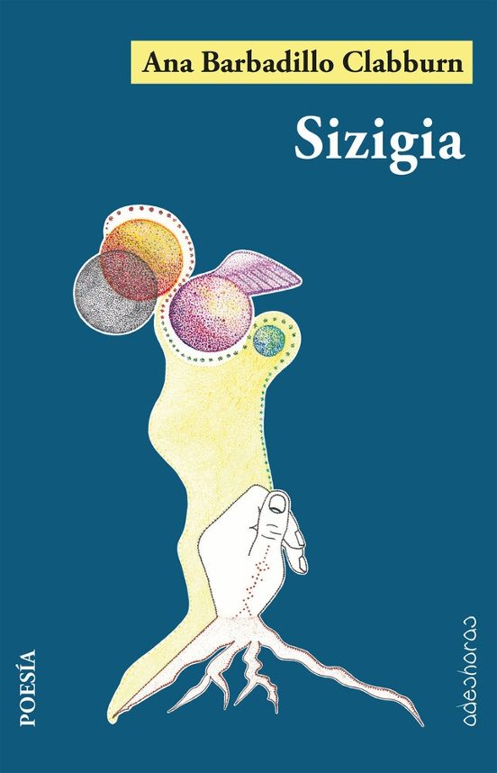 Sizigia