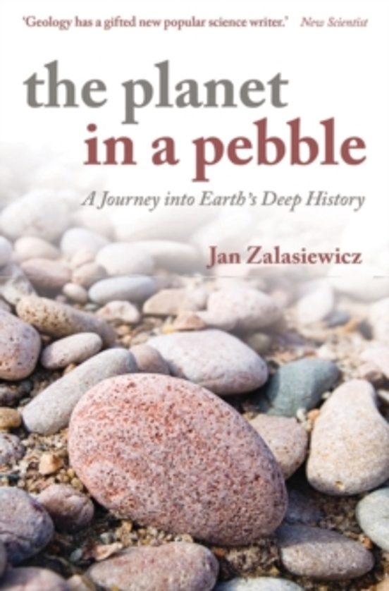 The Planet In A Pebble