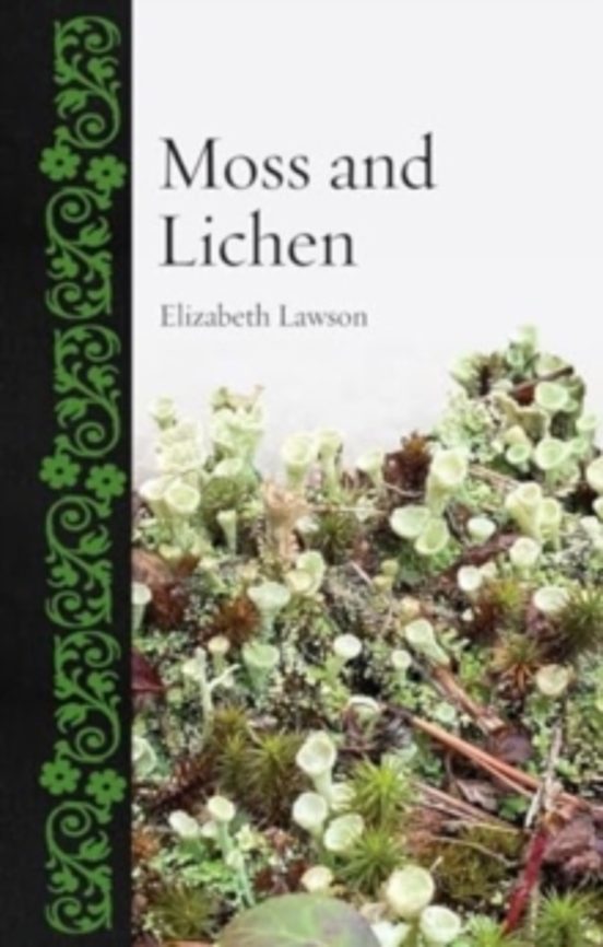 Moss And Lichen