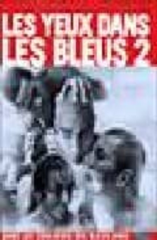 Les Yeux Dans les Bleus 2: Dans les Coulisses des Bleus 2002