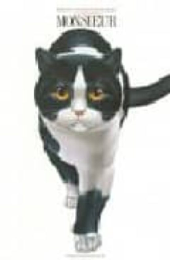 Monsieur