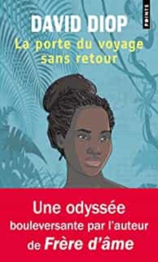 La Porte Du Voyage Sans Retour Ou Les Cahiers Secrets De Michel Adanso