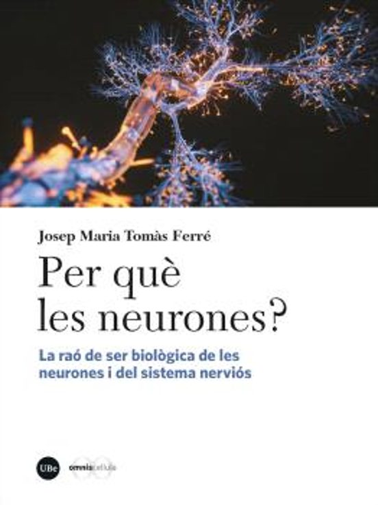 Per Què Les Neurones?