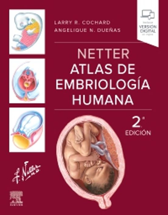 Netter Atlas De Embriología Humana