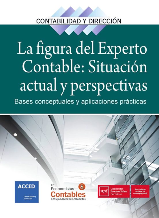 La Figura Del Experto Contable: Situación Actual Y Perspectivas