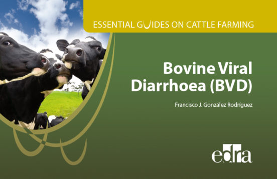 Essential Guides On Cattle Farming. Bovine Viral Diarrhoea