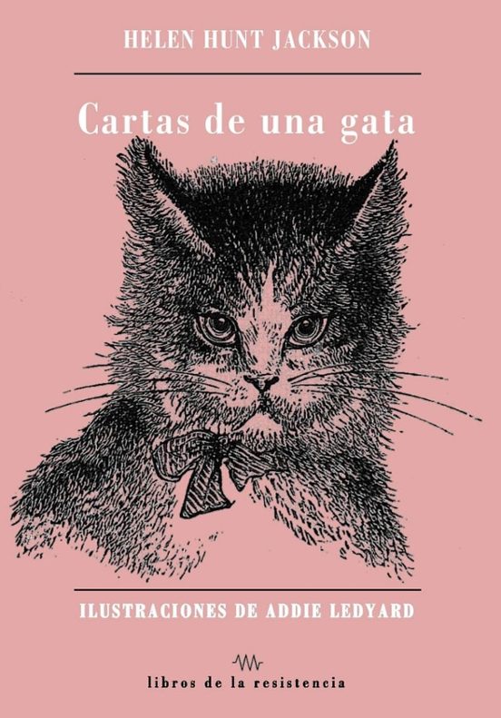 Cartas De Una Gata