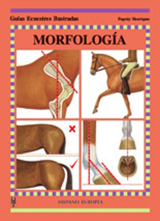 Morfologia