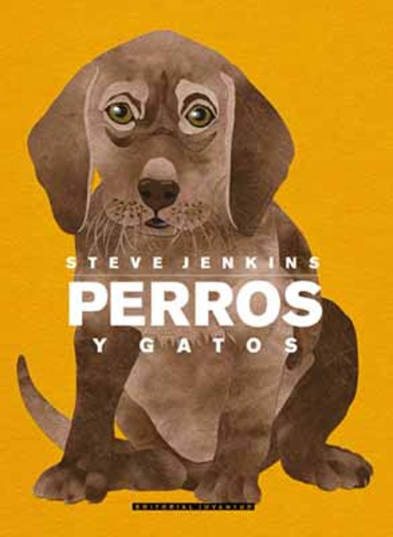Perros Y Gatos