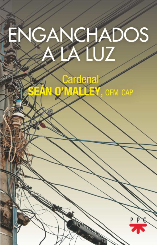 Enganchados A La Luz
