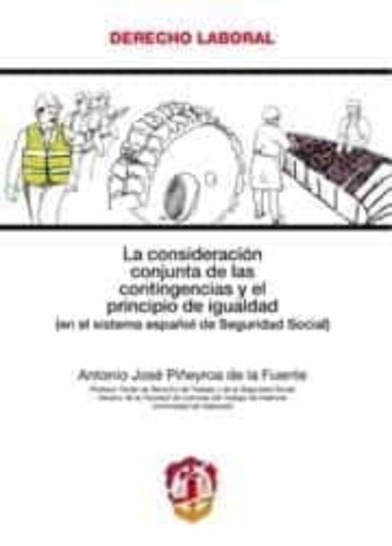 La Consideracion Conjunta De Las Contingencias Y El Principio De Igual