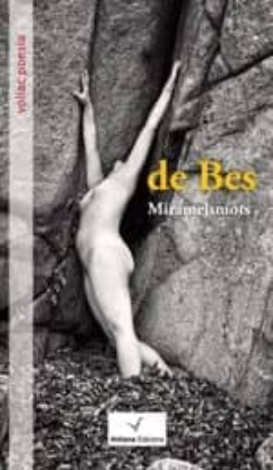 V De Bes