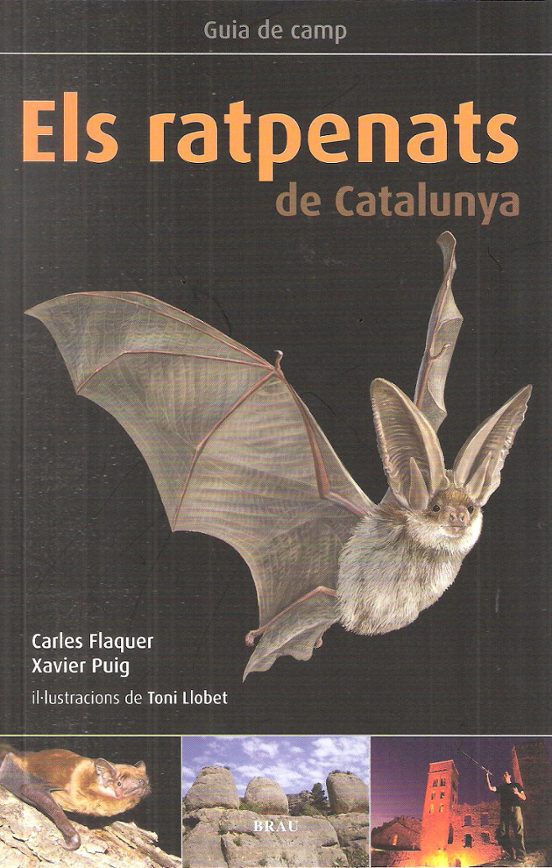 Els Ratpenats A Catalunya