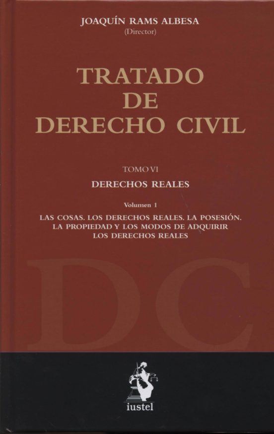 Tratado de Derecho Civil VI : Derechos Reales
