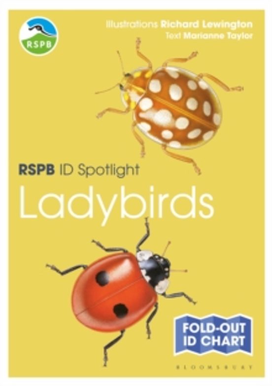 Rspb Id Spotlight - Ladybirds