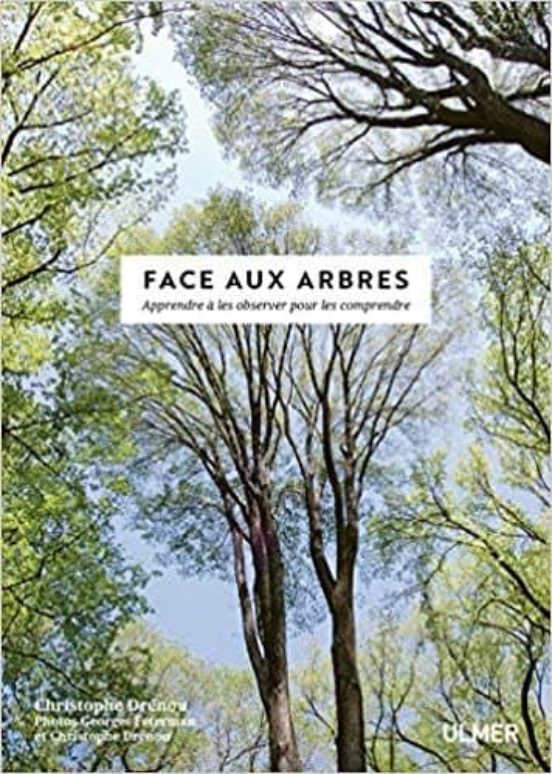 Face Aux Arbres : Apprendre À Les Observer Pour Les Comprendre