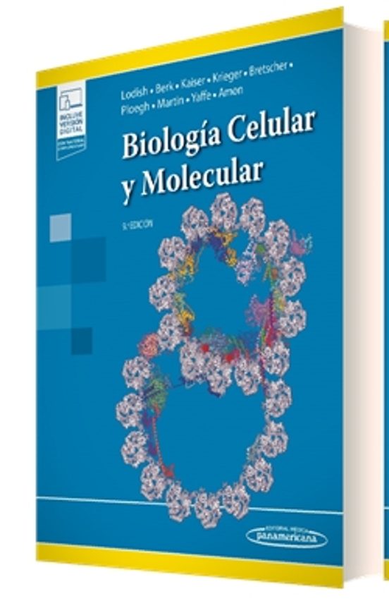 Biología Celular Y Molecular 9ª Edicion