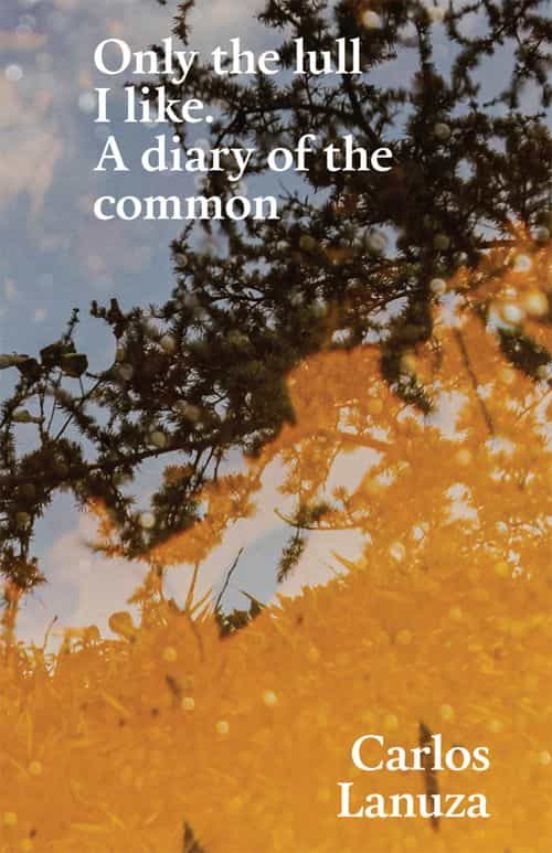Only The Lull I Like. A Diary Of The Common