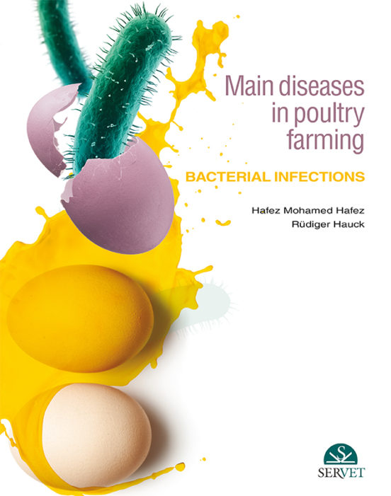 Main Diseases In Poultry Farming. Bacterial Infections
