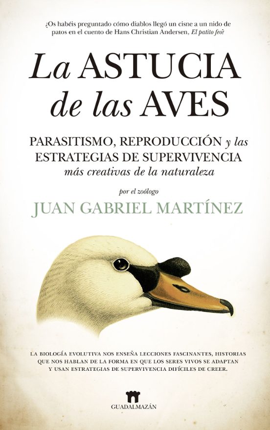 La Astucia De Las Aves