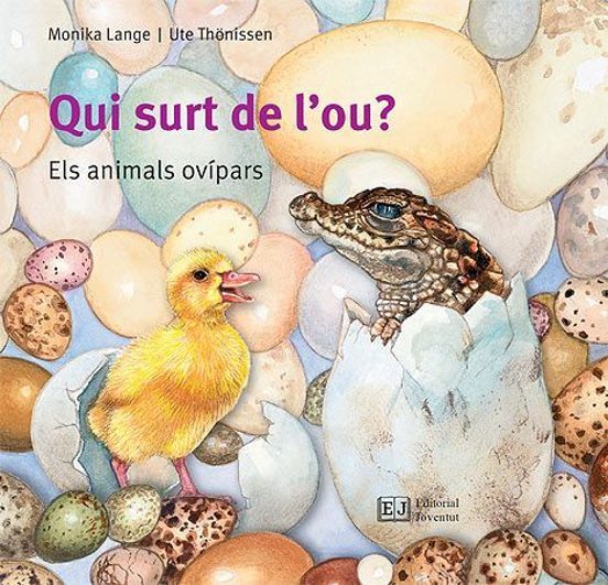 Qui Surt De L Ou?