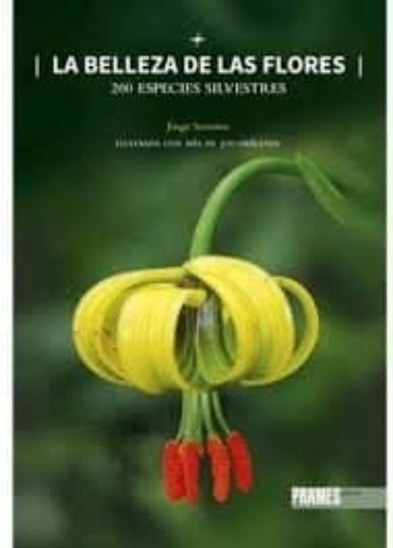 La Belleza De Las Flores. 200 Especies Silvestres