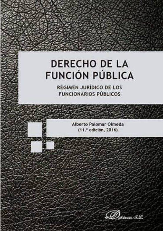 Derecho De La Funcion Publica
