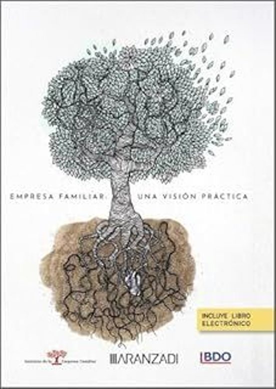 Empresa Familiar: Una Visión Práctica
