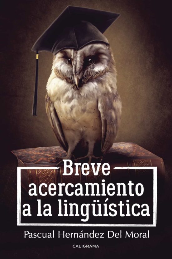 Breve Acercamiento A La Linguística