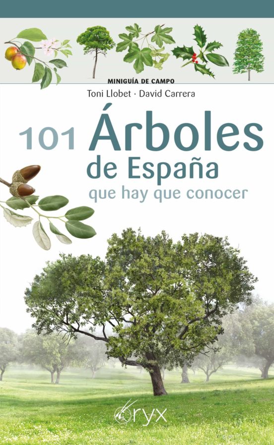 101 Árboles De España