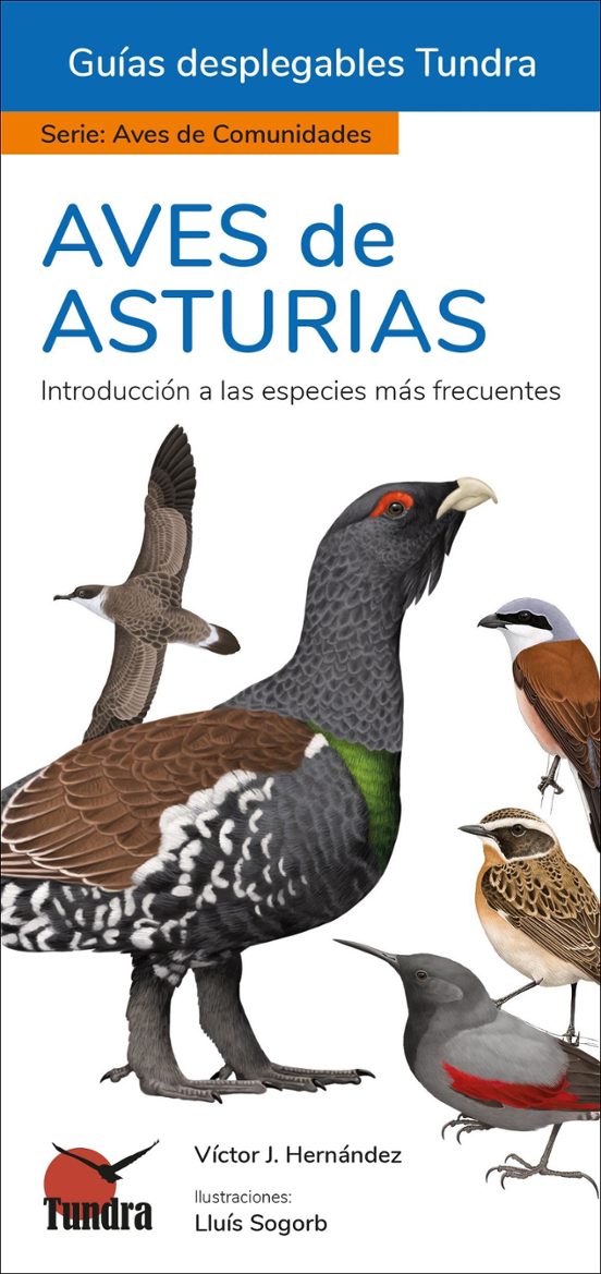 Aves De Asturias - Guias Desplegables Tundra