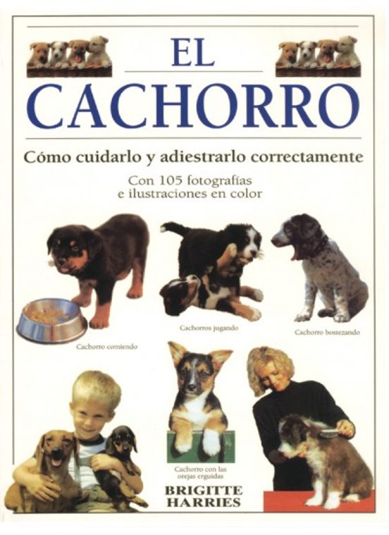 El Cachorro: Como Cuidarlo Y Adiestrarlo Perfectamente