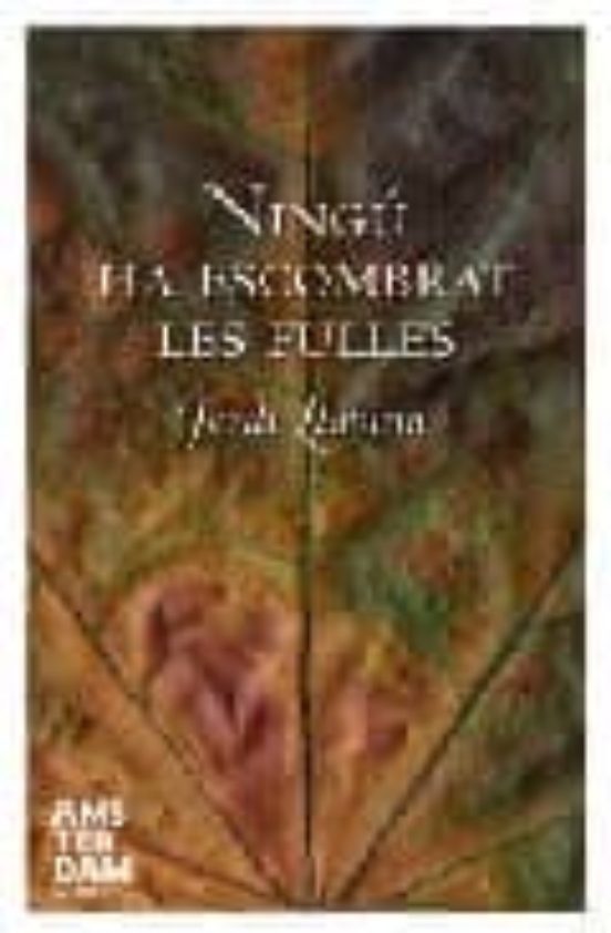 Ningú Ha Escombrat Les Fulles