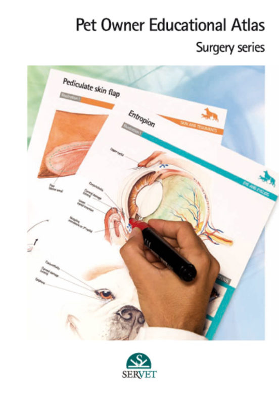 Surgery Series. Pet Owner Educational Atlas