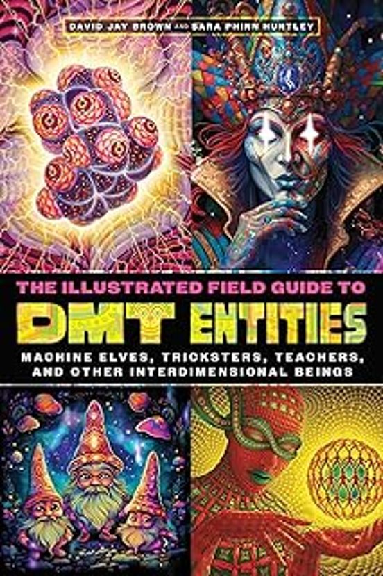 The Illustrated Field Guide To Dmt Entities: Machine Elves Tricksters