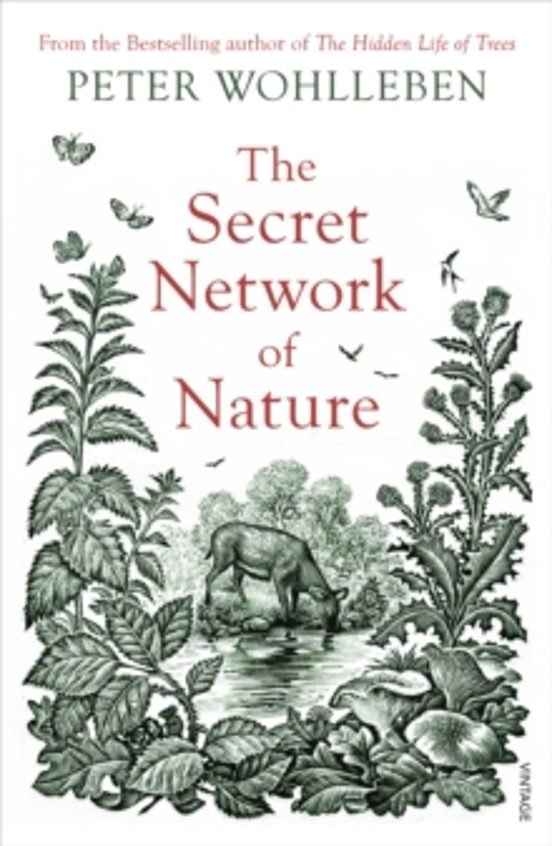 The Secret Network Of Nature