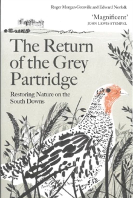 The Return Of The Grey Partridge