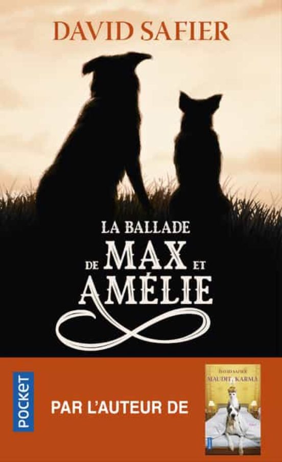 La Ballade De Max Et Amelie