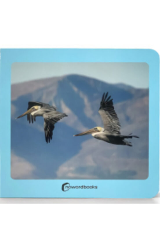 Aves