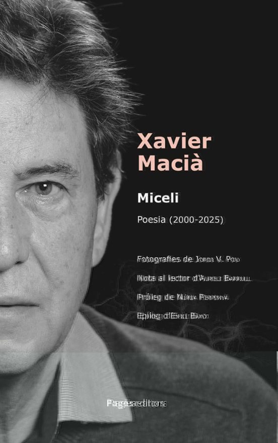 Miceli
