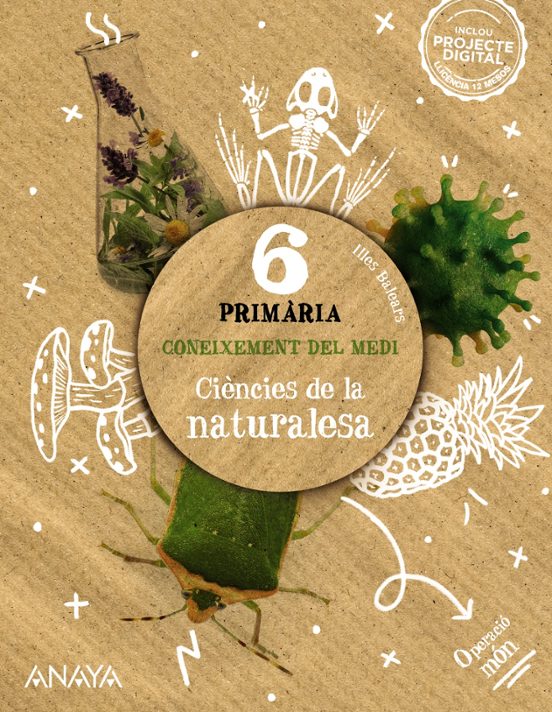 Coneixement del Medi. Ciències de la Naturalesa 6º Educacion Primaria