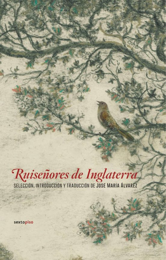 Ruiseñores De Inglaterra