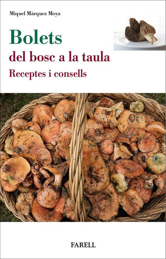Bolets Del Bosc A La Taula